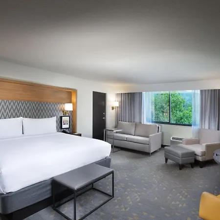 Holiday Inn Asheville East-Blue Ridge Pkwy By Ihg Exterior photo