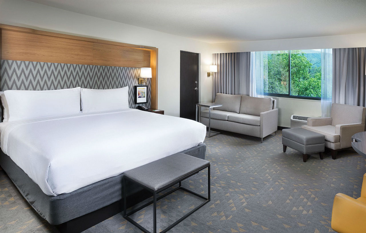 Holiday East-blue Ridge Pkwy By Ihg Hotel 3*